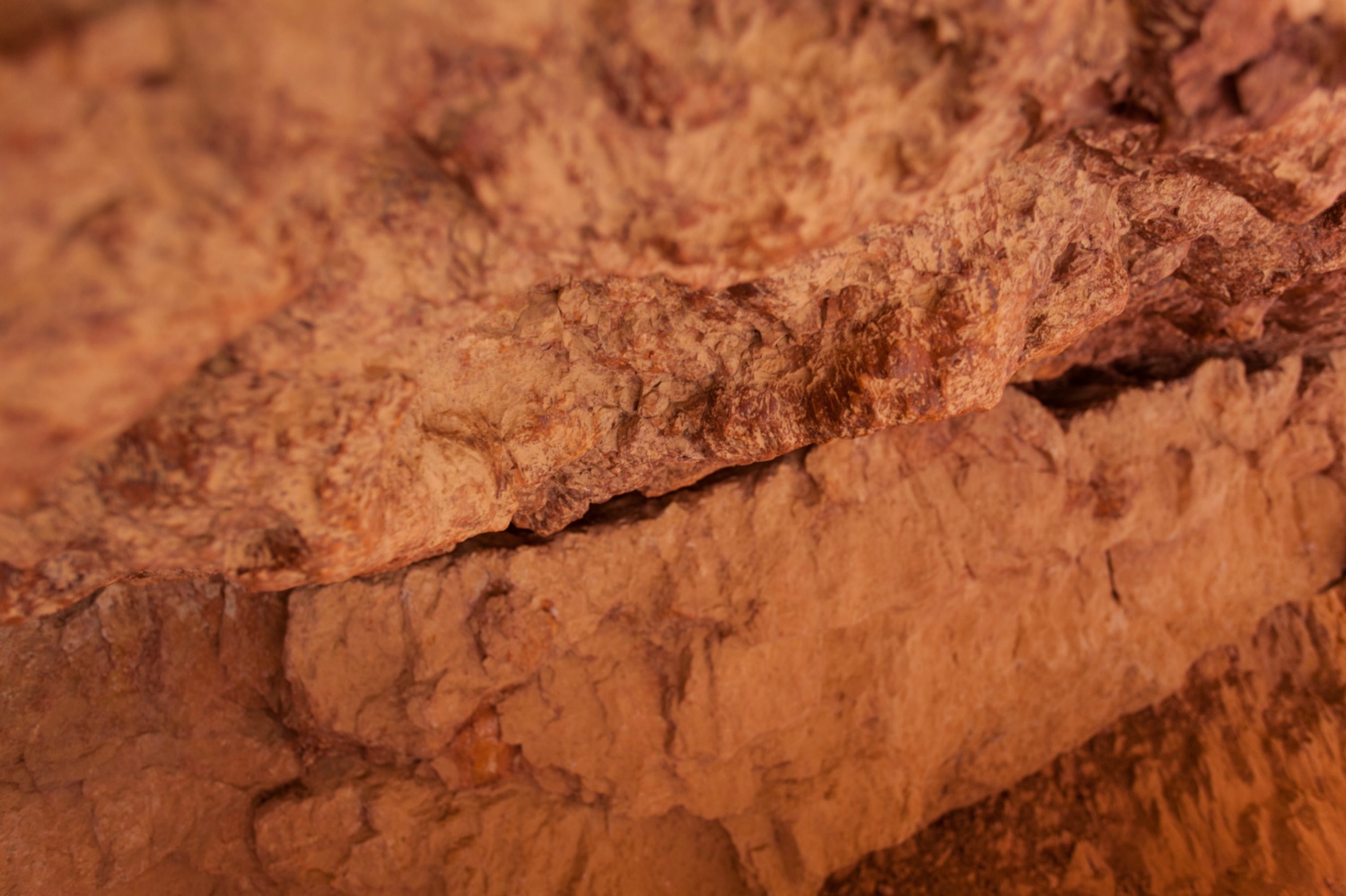 USA_Bryce Canyon_185